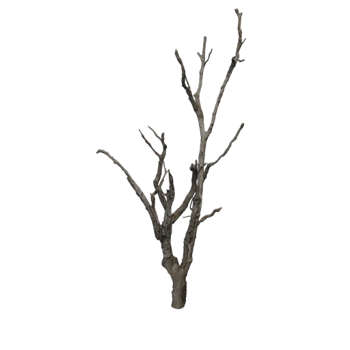 SM EXT WL DeadTreeA Large