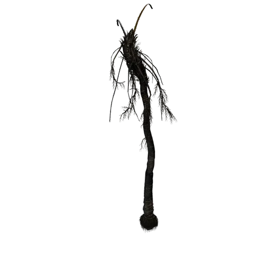 DeadPalm C