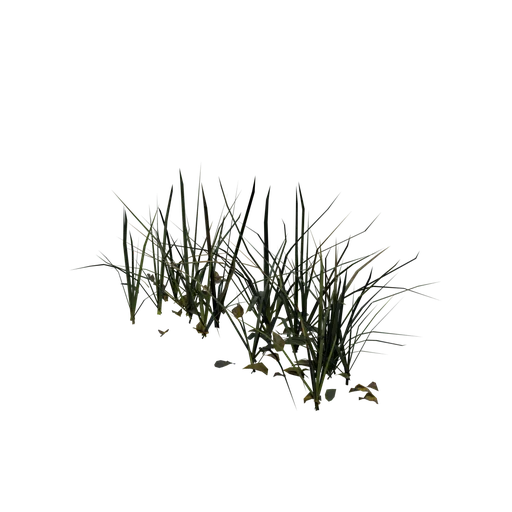 Grass01 sm