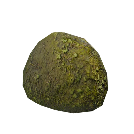 SM SmallSwampRock 02