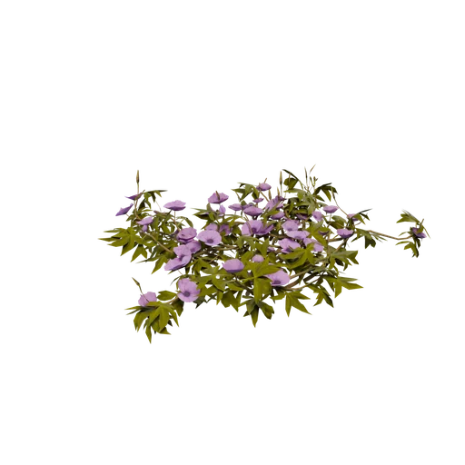 PurpleMat Ex