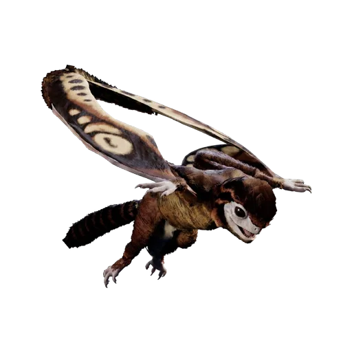 Sinomacrops