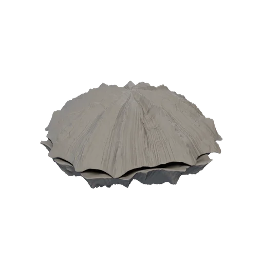 SM Clam