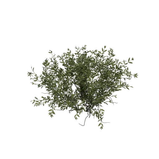 SM GreenHighDesertBush