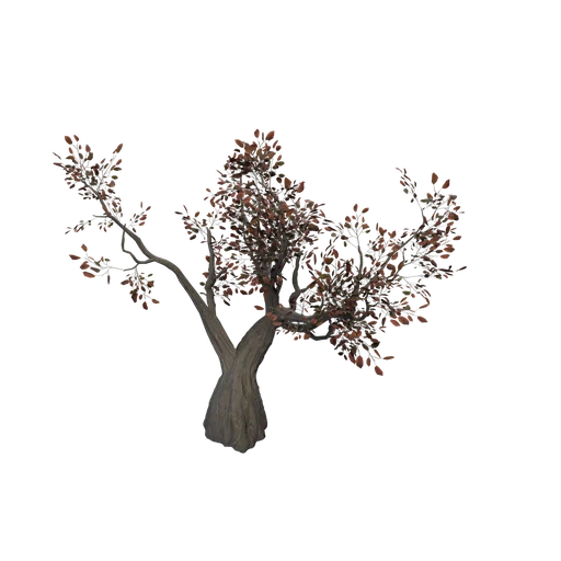 SM AshPine C