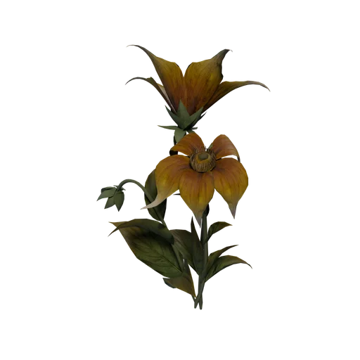 GoldThorns C