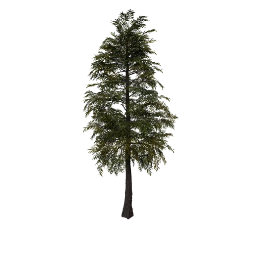 SM TreeG Sapling