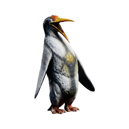 Kairuku