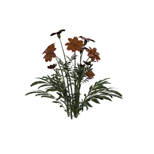 SM Marigold
