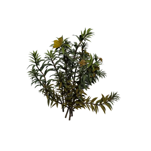 TundraRose C
