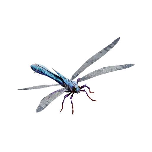Meganeura