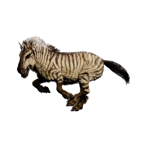 Equus