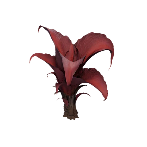 FlosMortis B