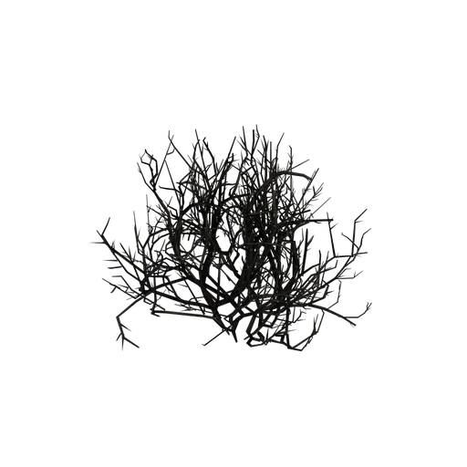 BriarBush SM Dark