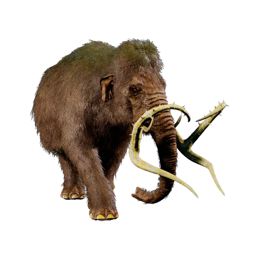 Mammoth