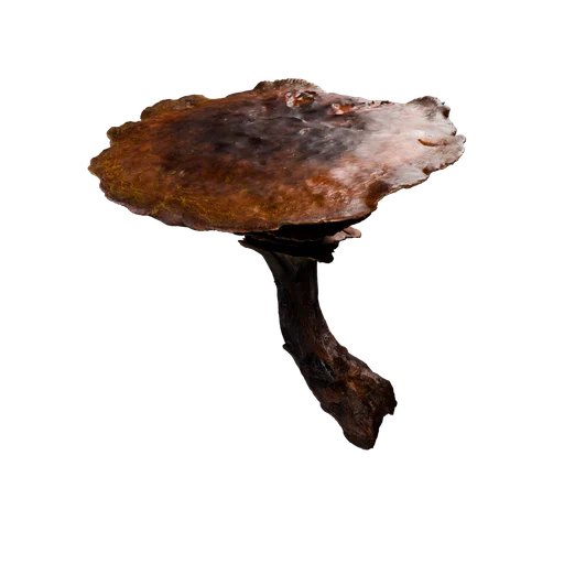 ShroomTreeB