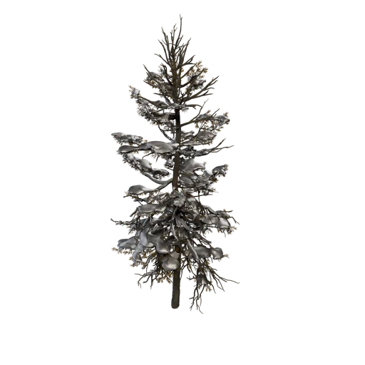 Tamarack F Snow