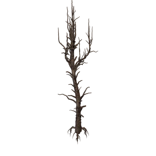 WhitePine A