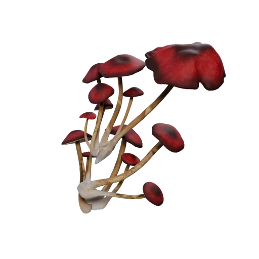 WallFungus Pink SM