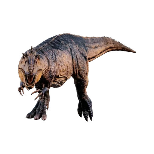 Skeletal Giganotosaurus