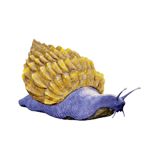 Achatina
