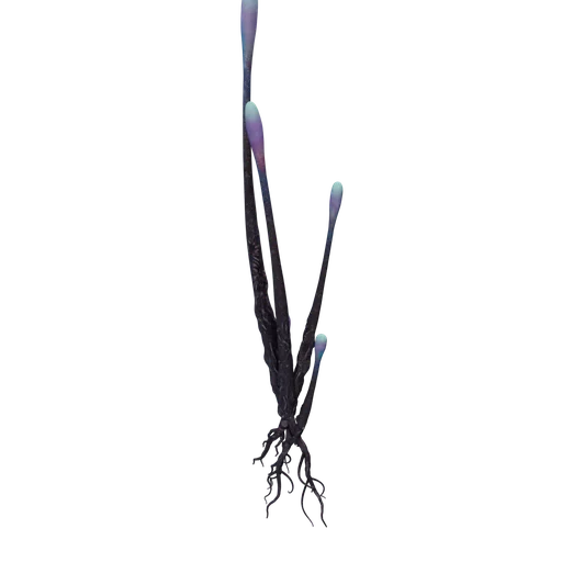 ToxicAngler C