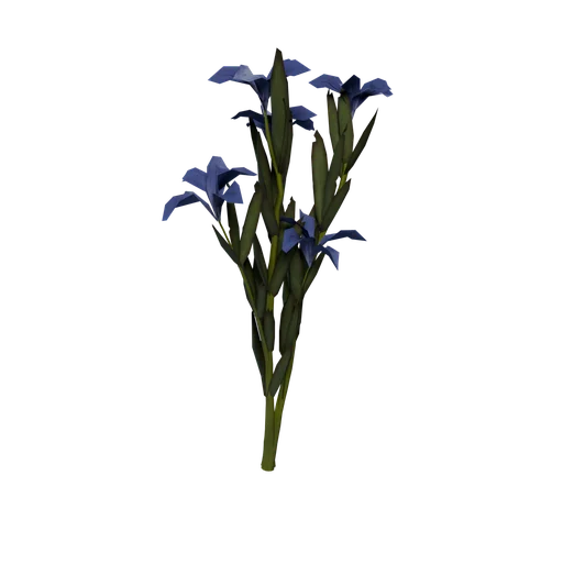 SM SnowGentian E