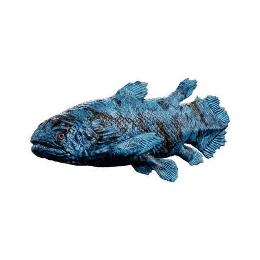 Coelacanth