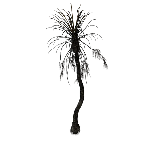 DeadPalm A