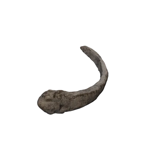 SM Bones rib 3 Surface