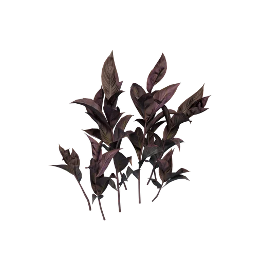 CardinalFlowers C