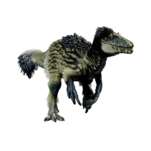 Megaraptor