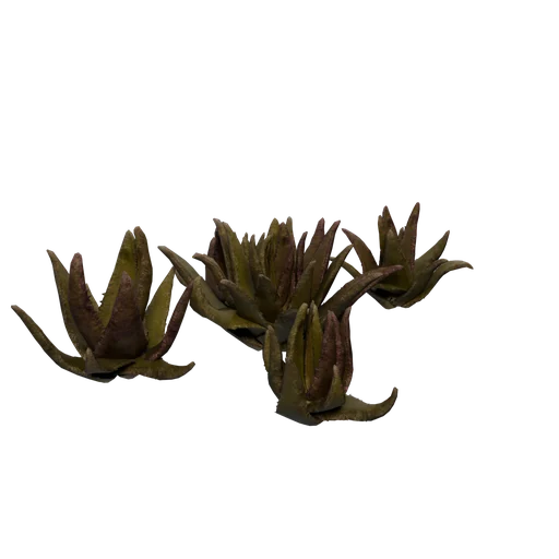 SM EXT WL SucculentA cluster