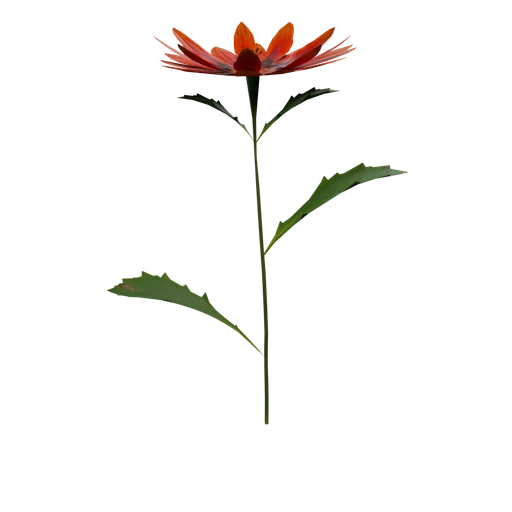 Flower 04