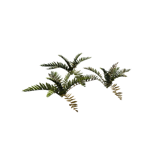 Foliage02 SM