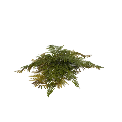 SnowPlant01 SM