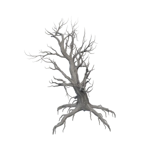 SM DeadTree Desert 3