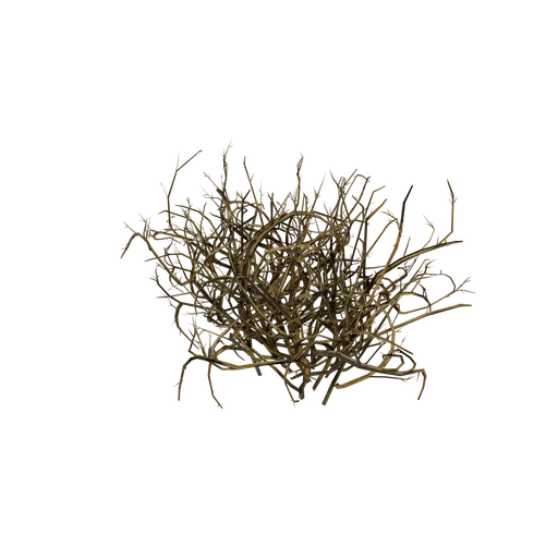 BriarBushClump SM