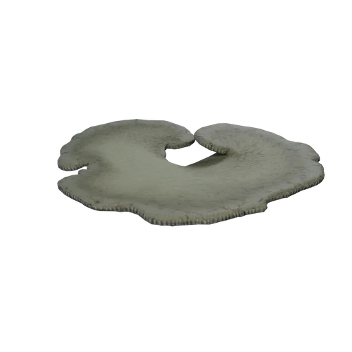 SM Coral Table D
