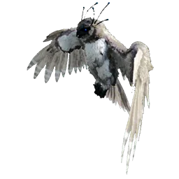 R-Snow Owl