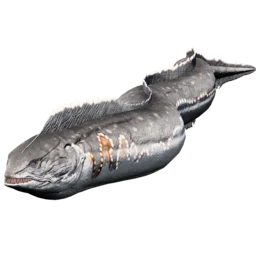 Aberrant Electrophorus