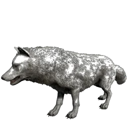 R-Direwolf