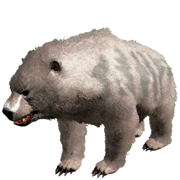 R-Dire Bear