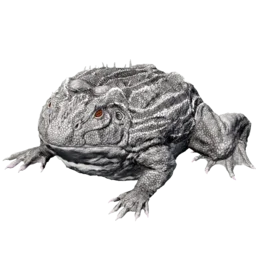 Aberrant Beelzebufo