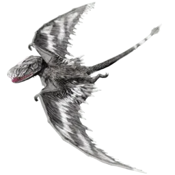 Aberrant Dimorphodon
