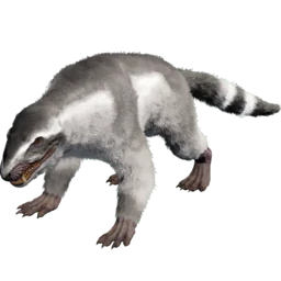 Aberrant Purlovia