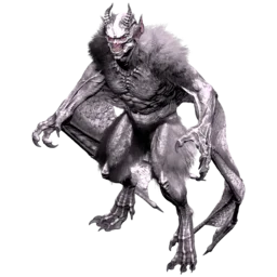 Neophyte
