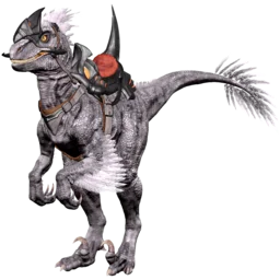 Lost Raptor