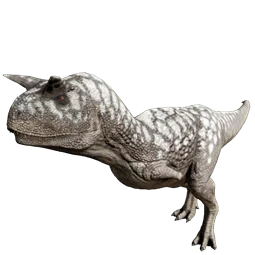 R-Carnotaurus