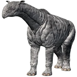 Aberrant Paraceratherium